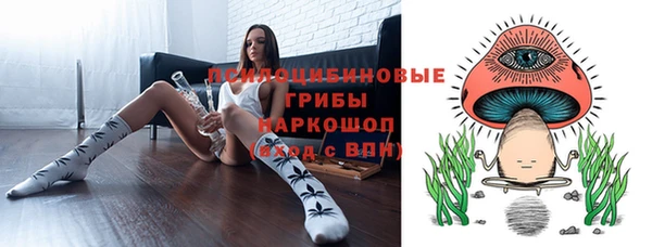 apvp Краснослободск