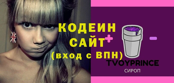 apvp Краснослободск