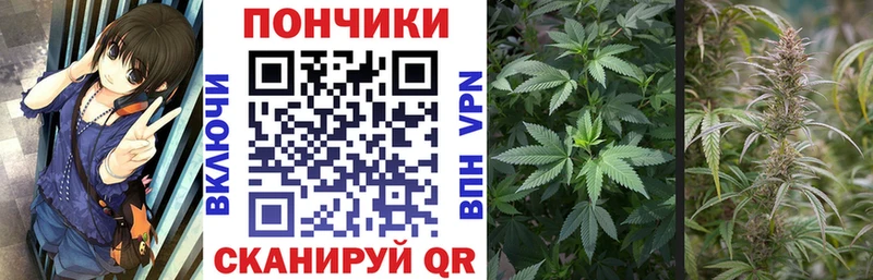 Бошки Шишки гибрид  Купить закладки  Белоярский 